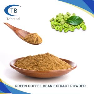 Poudre d'extrait de grain de café vert naturel